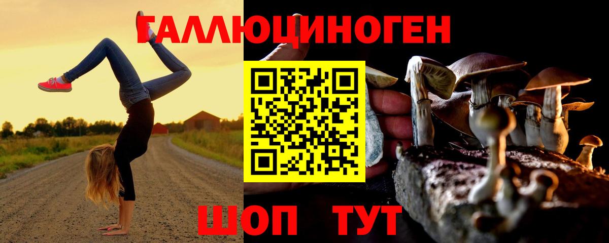 Галлюциногенные грибы Cubensis Юрга
