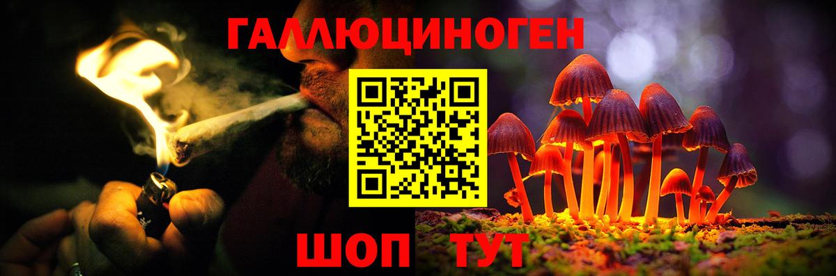 Псилоцибиновые грибы прущие грибы  Вход с VPN  Юрга 